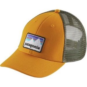 New with tags Patagonia trucker hat SnapBack